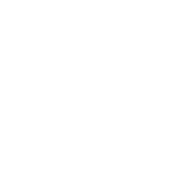 ce logo Ogden