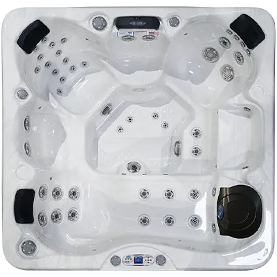 Avalon EC-849L hot tubs for sale in Ogden